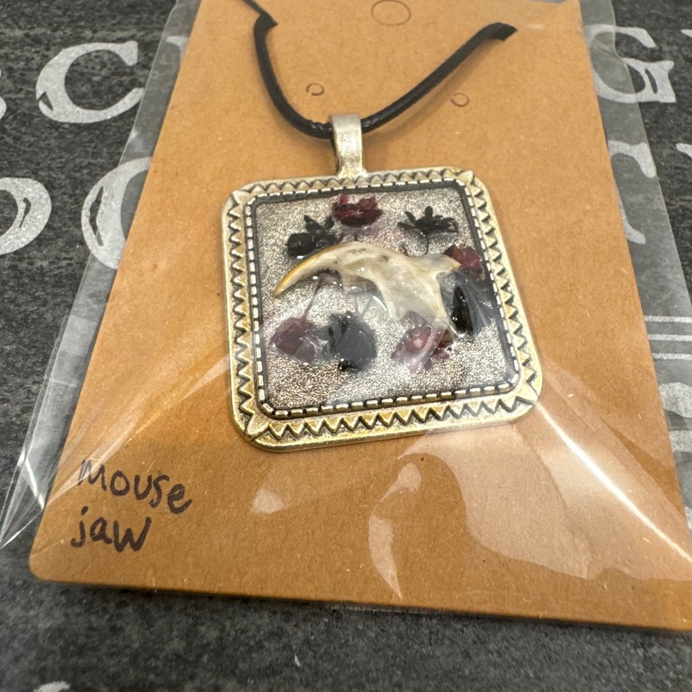 OOAK Handcrafted‎ Taxidermy Oddities Animal Bone Pendant Necklace Mouse Jaw